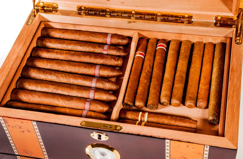 Cigare